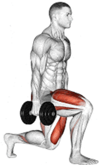 Ideal Free Weight Exercises for Lower Body&nbsp;Strength