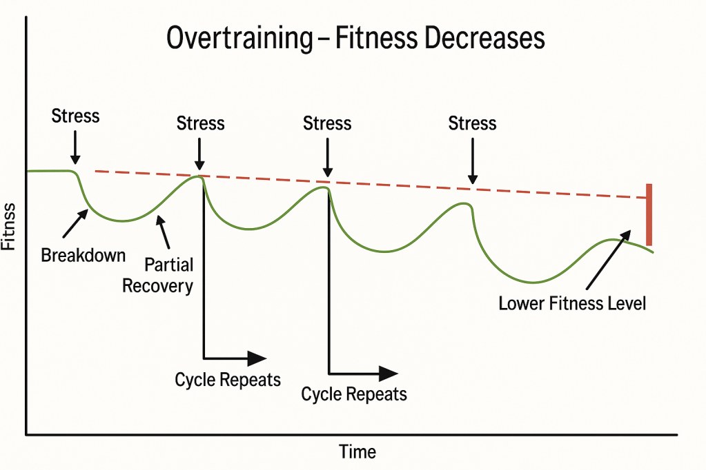 Importance of Rest Days: Unlocking Recovery &&nbsp;Progress